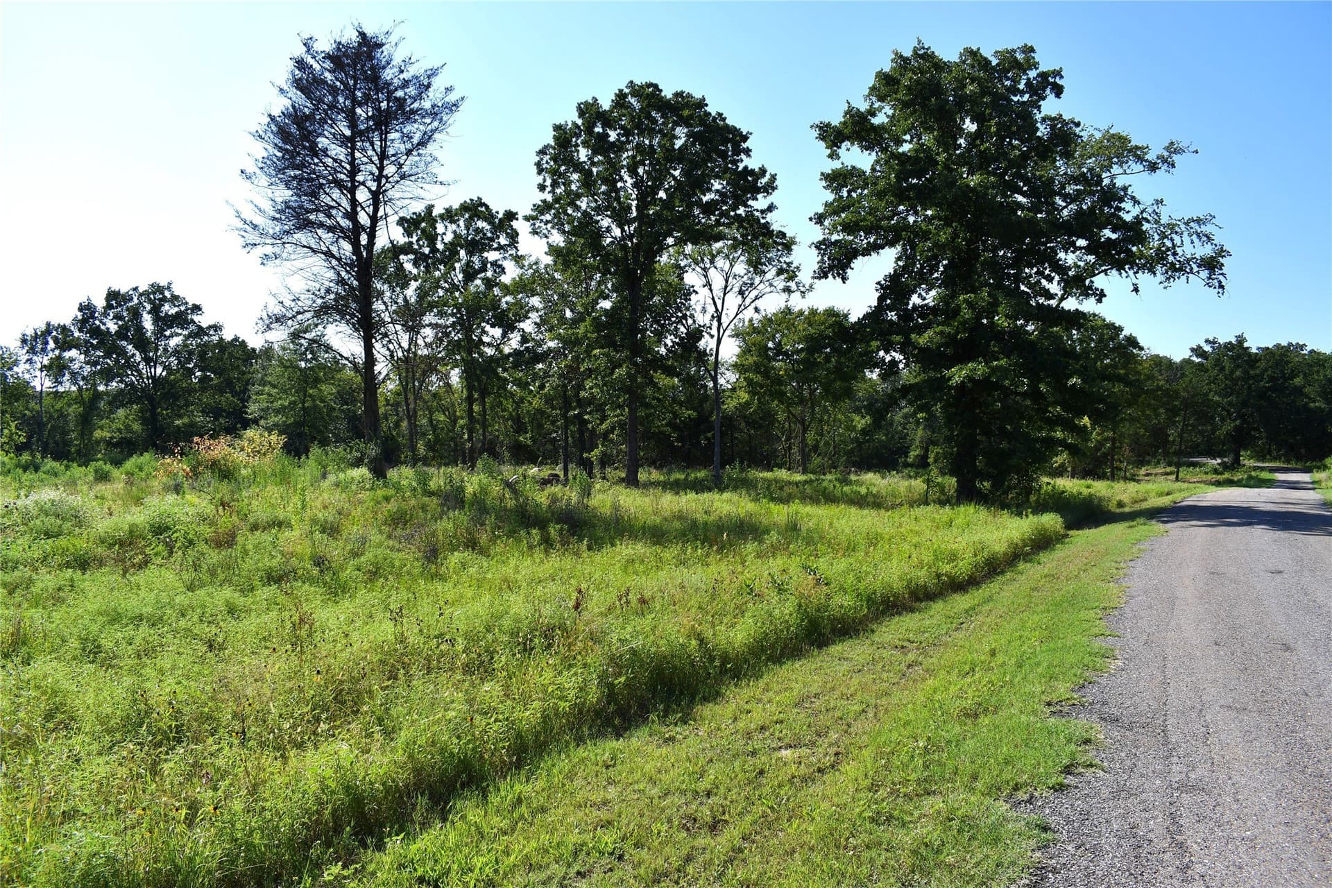 1.1 acres in Hopkins County - photo 10