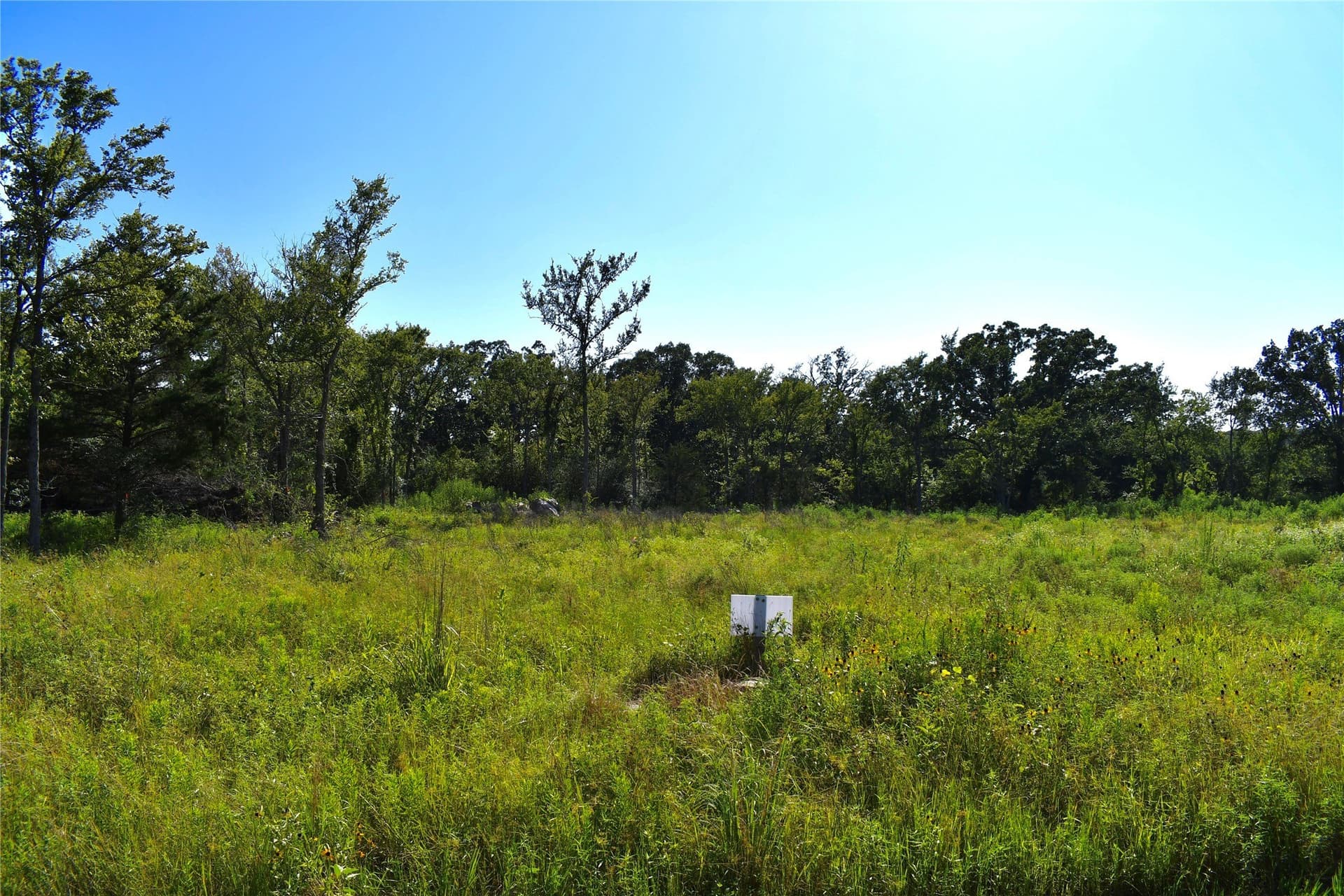 1.1 acres in Hopkins County - photo 9