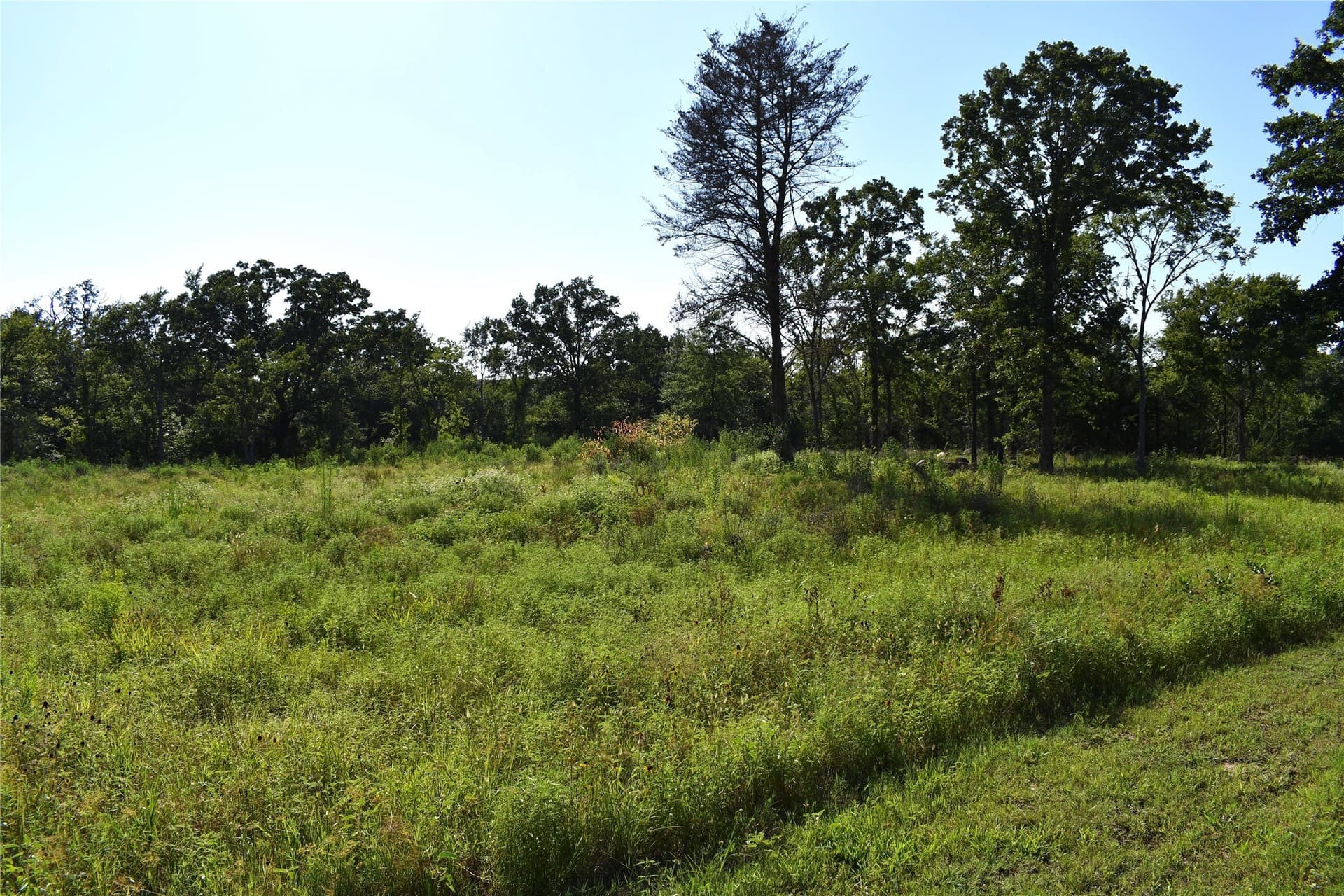 1.1 acres in Hopkins County - photo 12