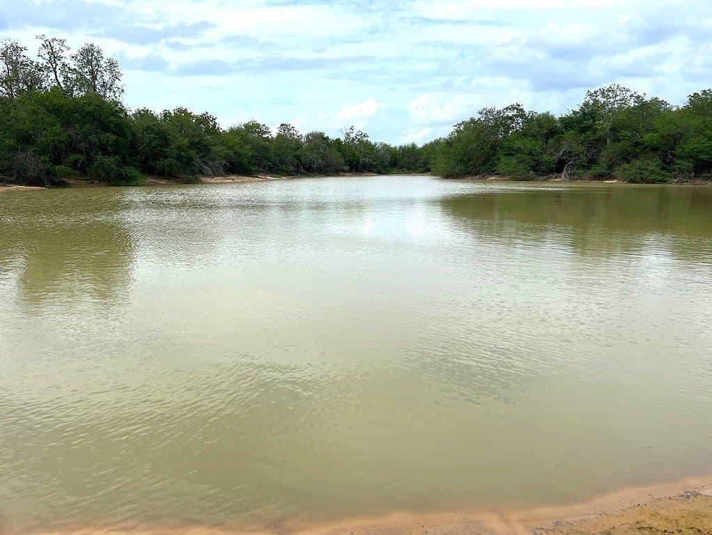 42.19 acres in Austin County featured view