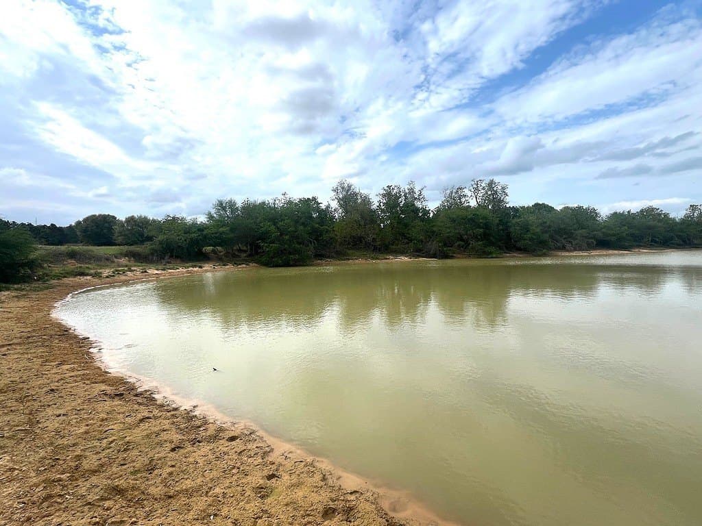 42.19 acres in Austin County gallery image 4