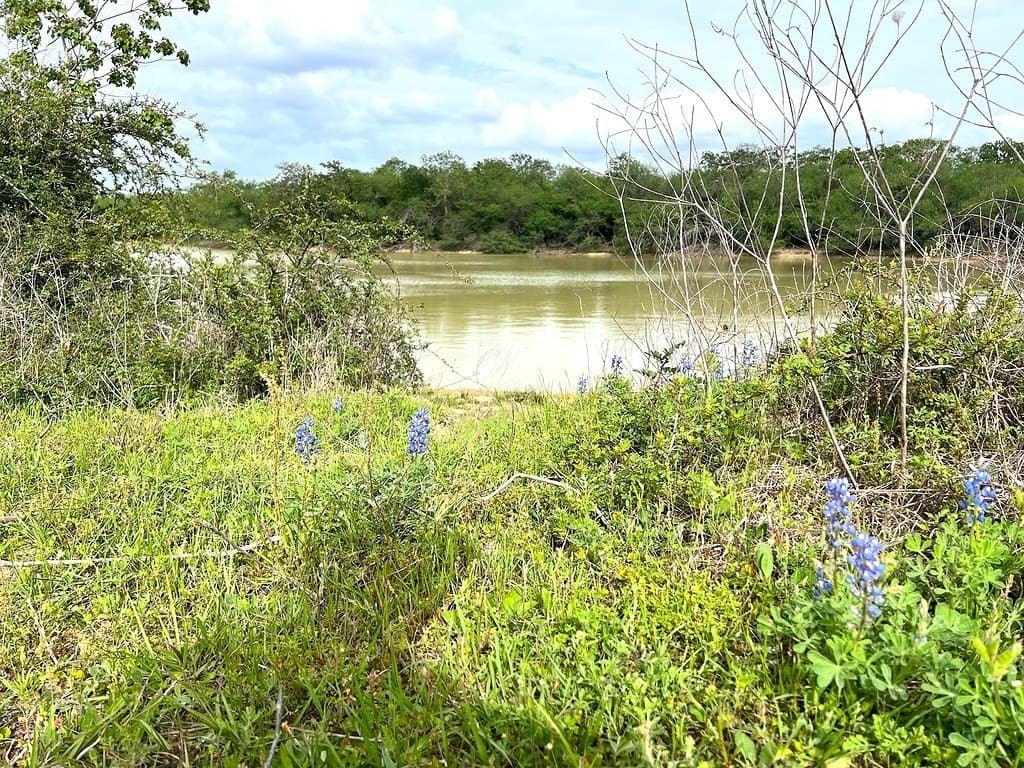 42.19 acres in Austin County gallery image 3