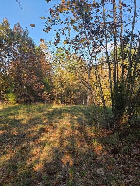 5.5 acres in Red River (TX) County gallery image 4