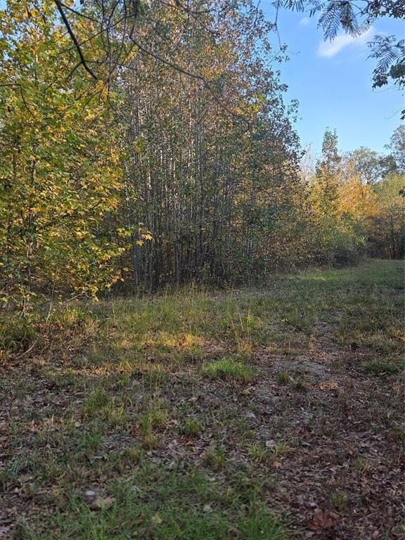 5.5 acres in Red River (TX) County featured view
