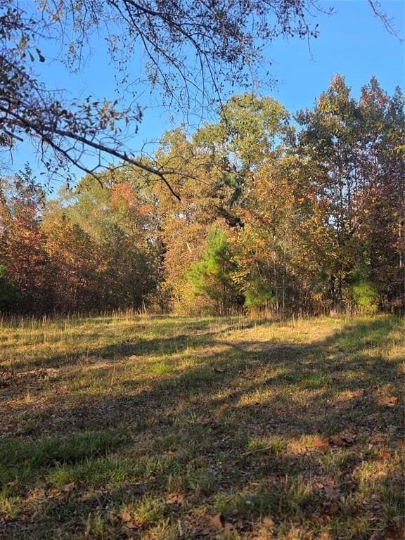 5.5 acres in Red River (TX) County gallery image 3