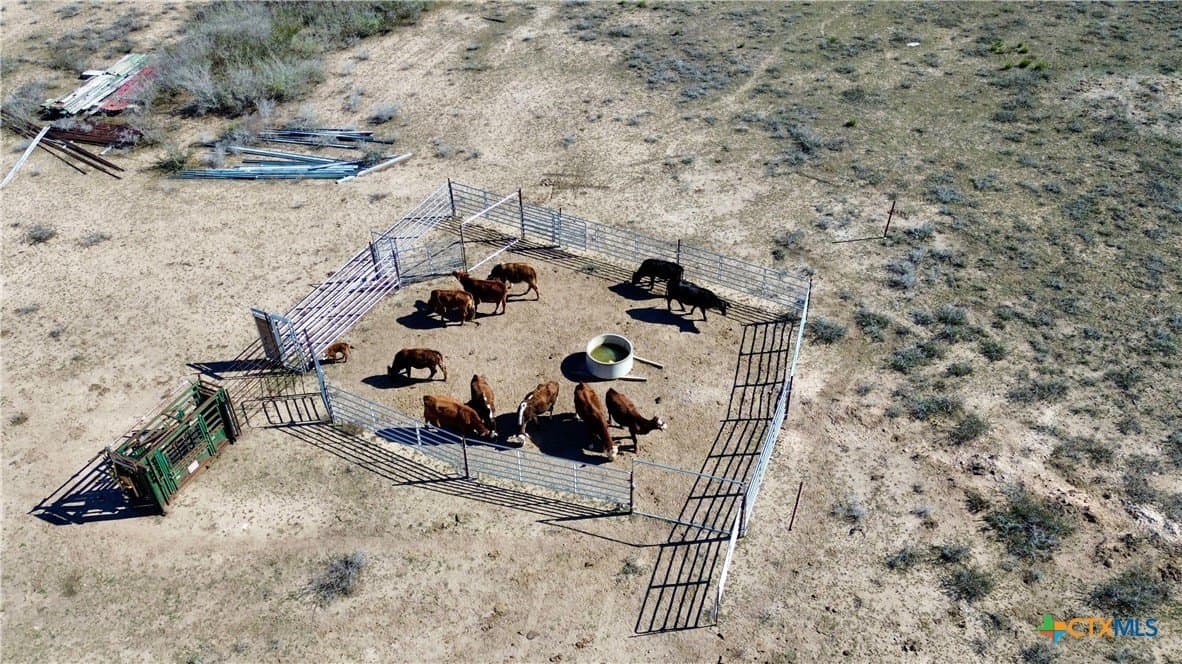 141.69 acres in Goliad County gallery image 4