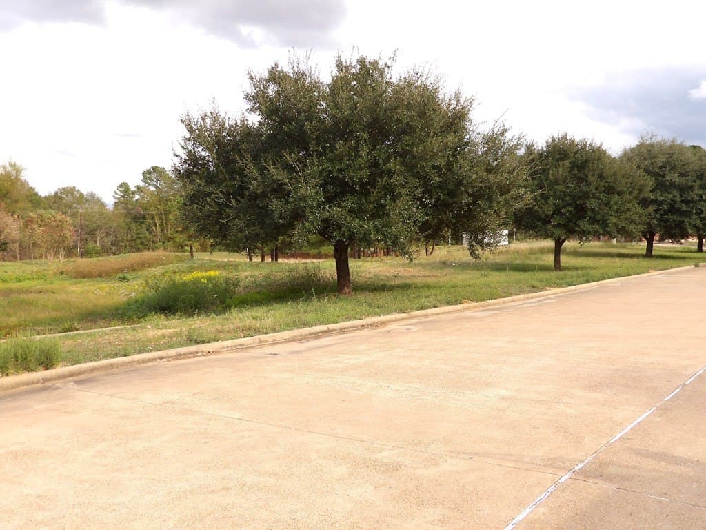 16.51 acres in Texas County - photo 15