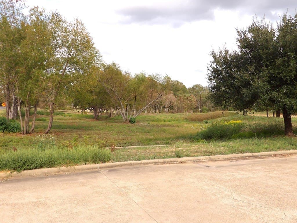 16.51 acres in Texas County - photo 16