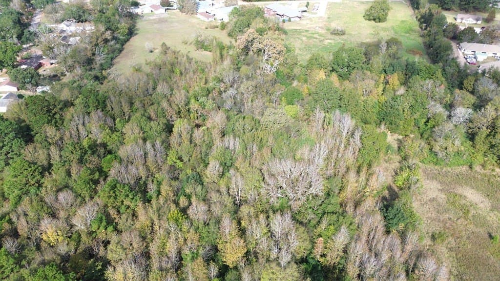 16.51 acres in Texas County - photo 20