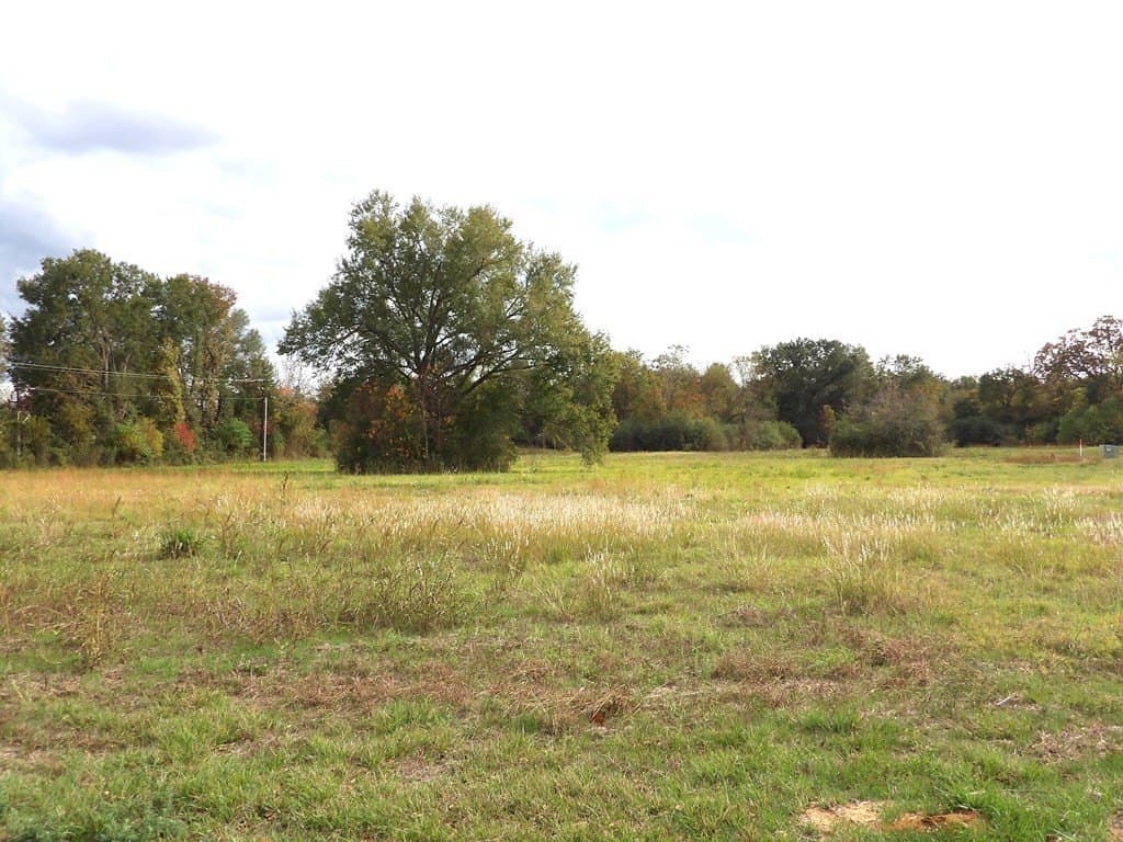 16.51 acres in Texas County - photo 18