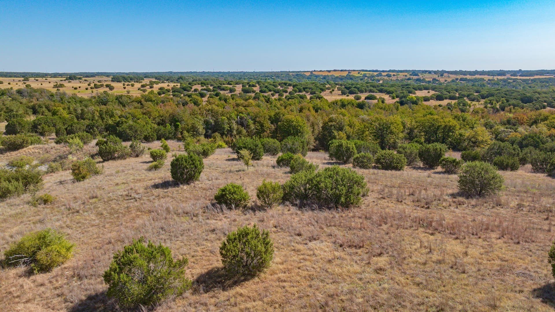 55.5 acres in Erath County - photo 10