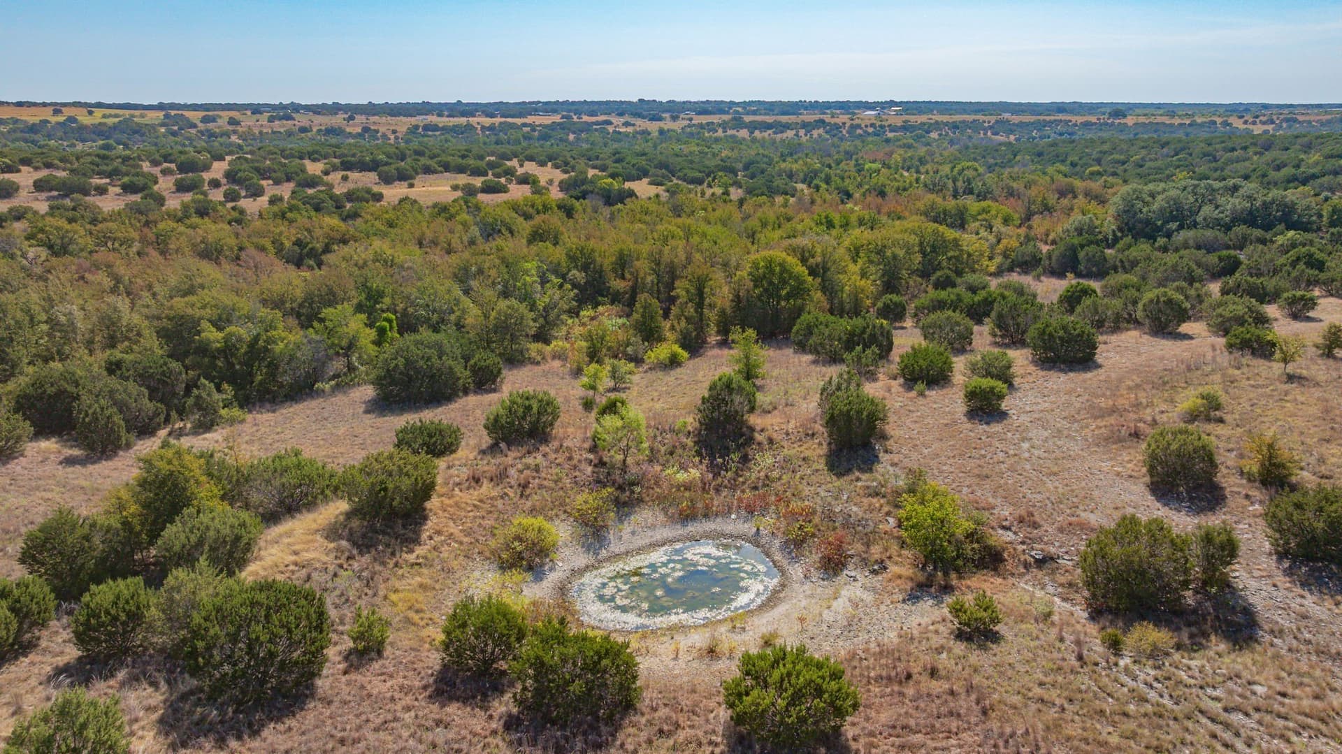 55.5 acres in Erath County - photo 4