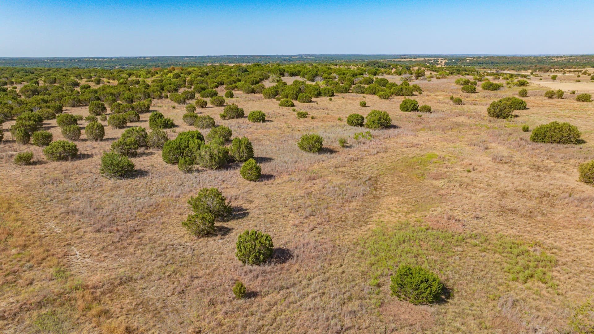 55.5 acres in Erath County - photo 33
