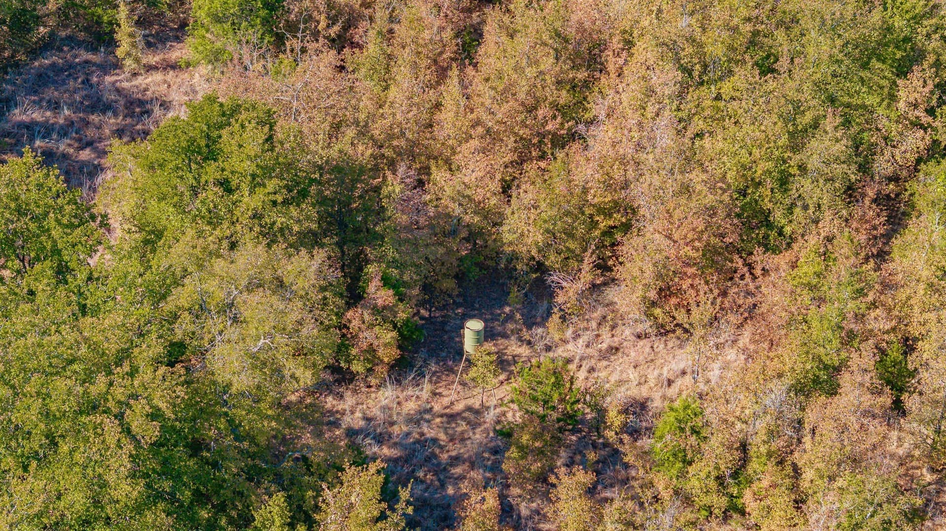 55.5 acres in Erath County - photo 8