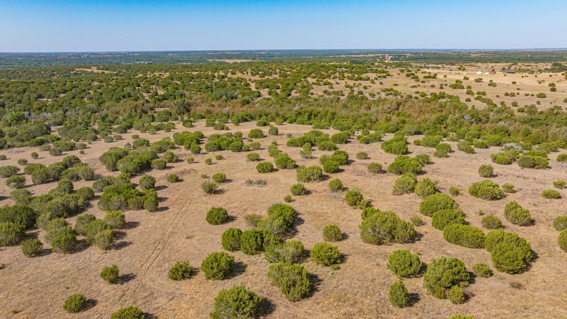 55.5 acres in Erath County - photo 22