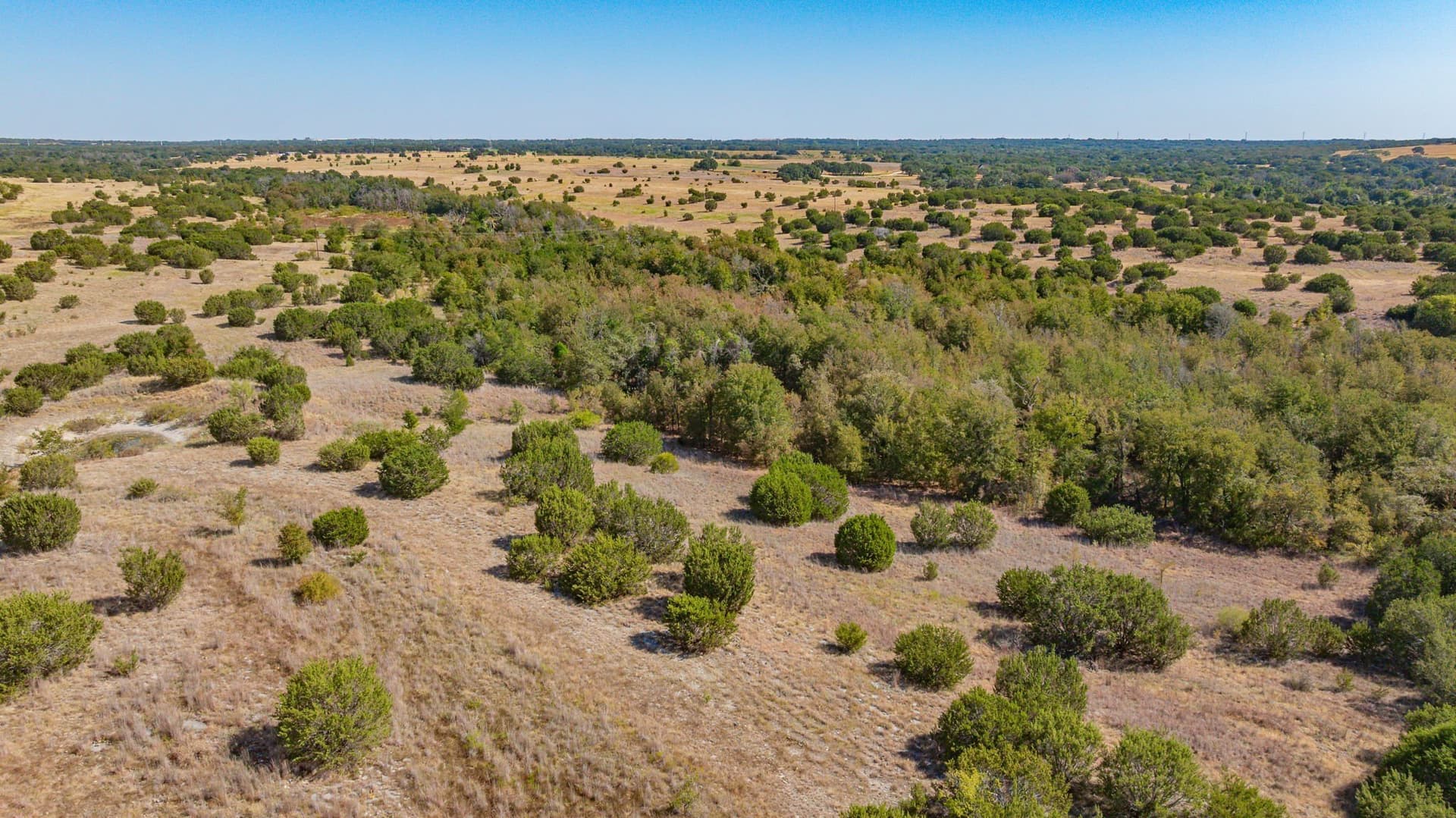 55.5 acres in Erath County - photo 12