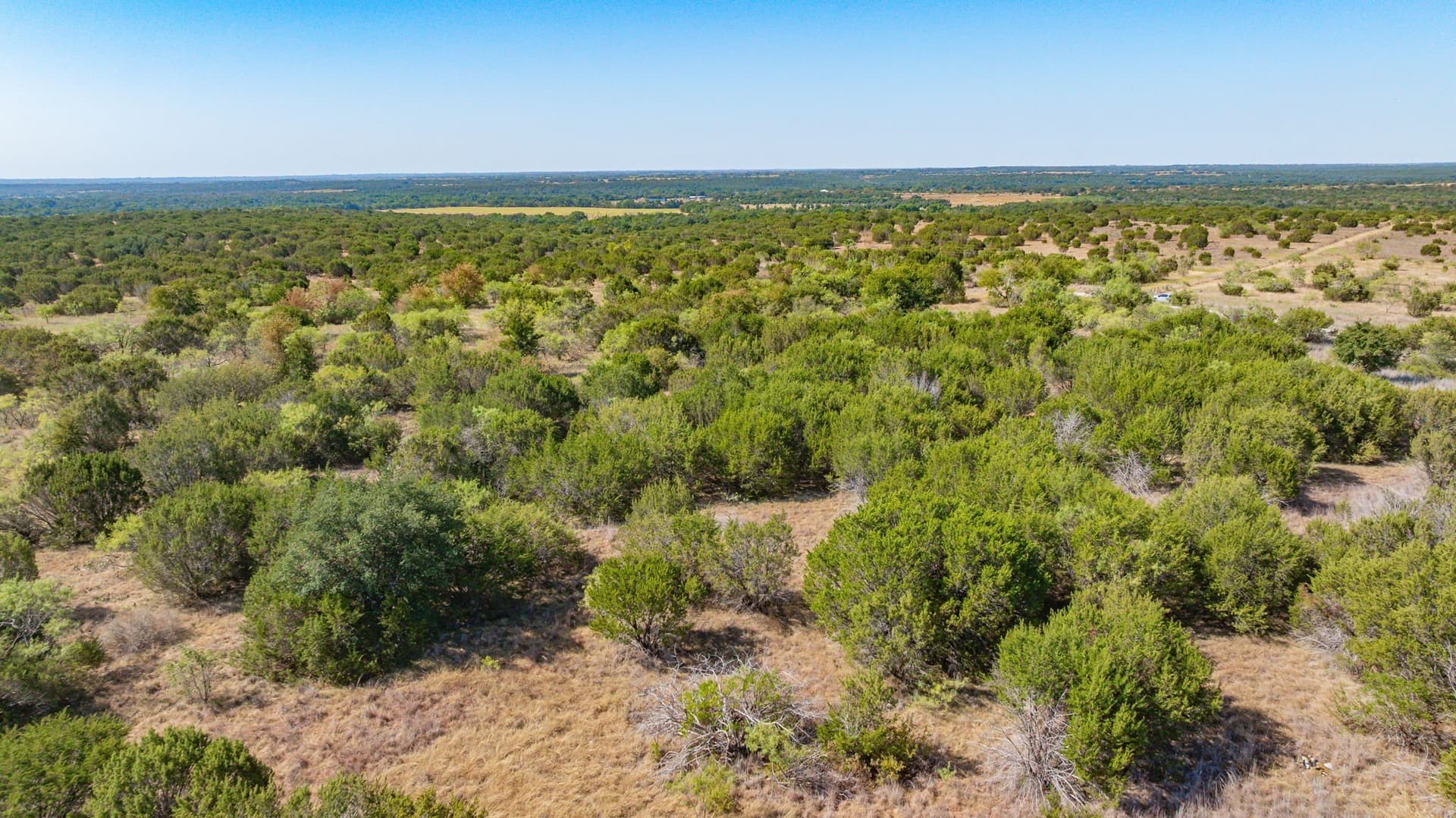 55.5 acres in Erath County - photo 14