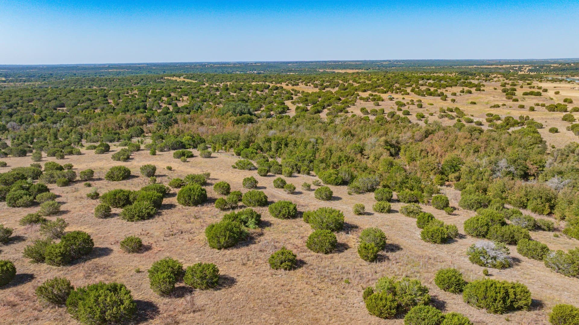55.5 acres in Erath County - photo 23