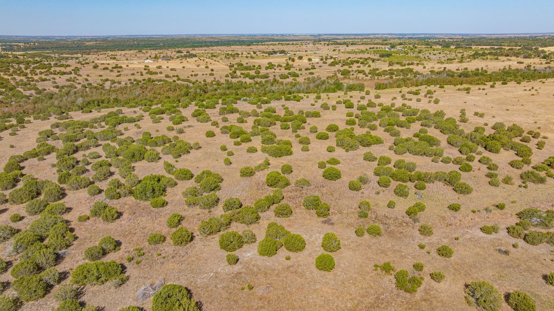 55.5 acres in Erath County - photo 20