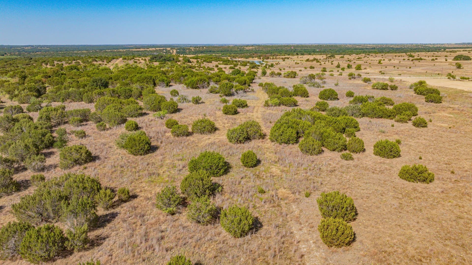 55.5 acres in Erath County - photo 13