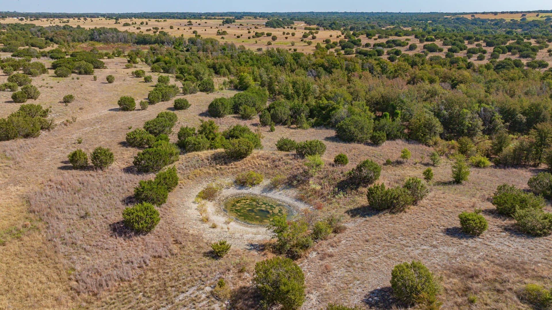 55.5 acres in Erath County - photo 5