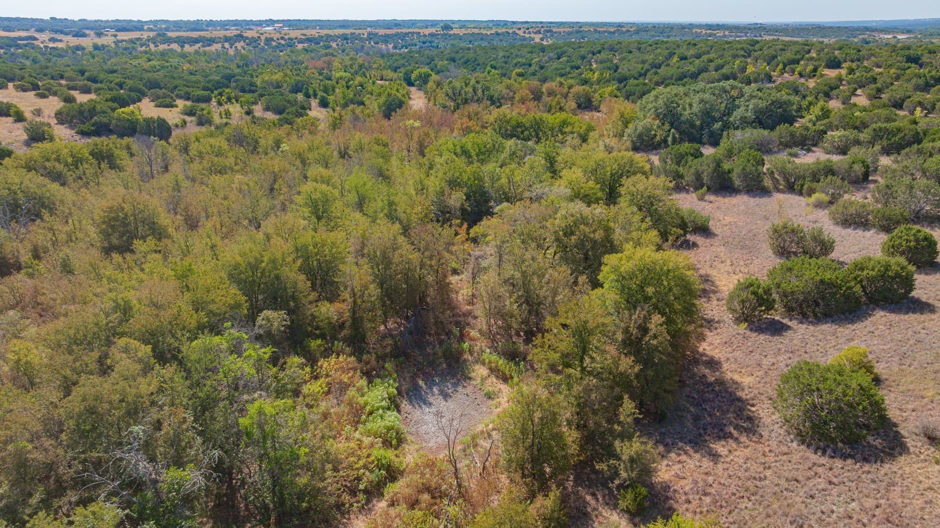 55.5 acres in Erath County - photo 9