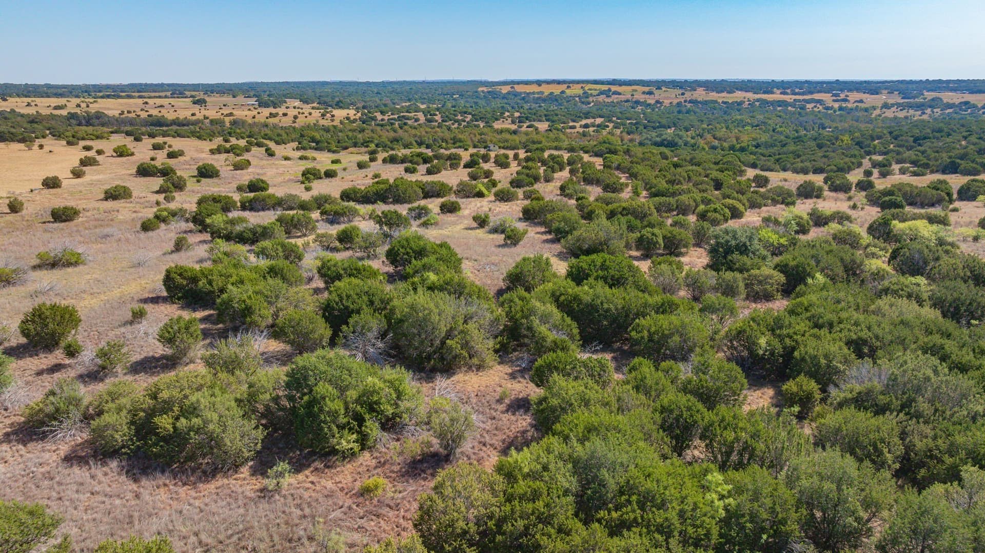 55.5 acres in Erath County - photo 31