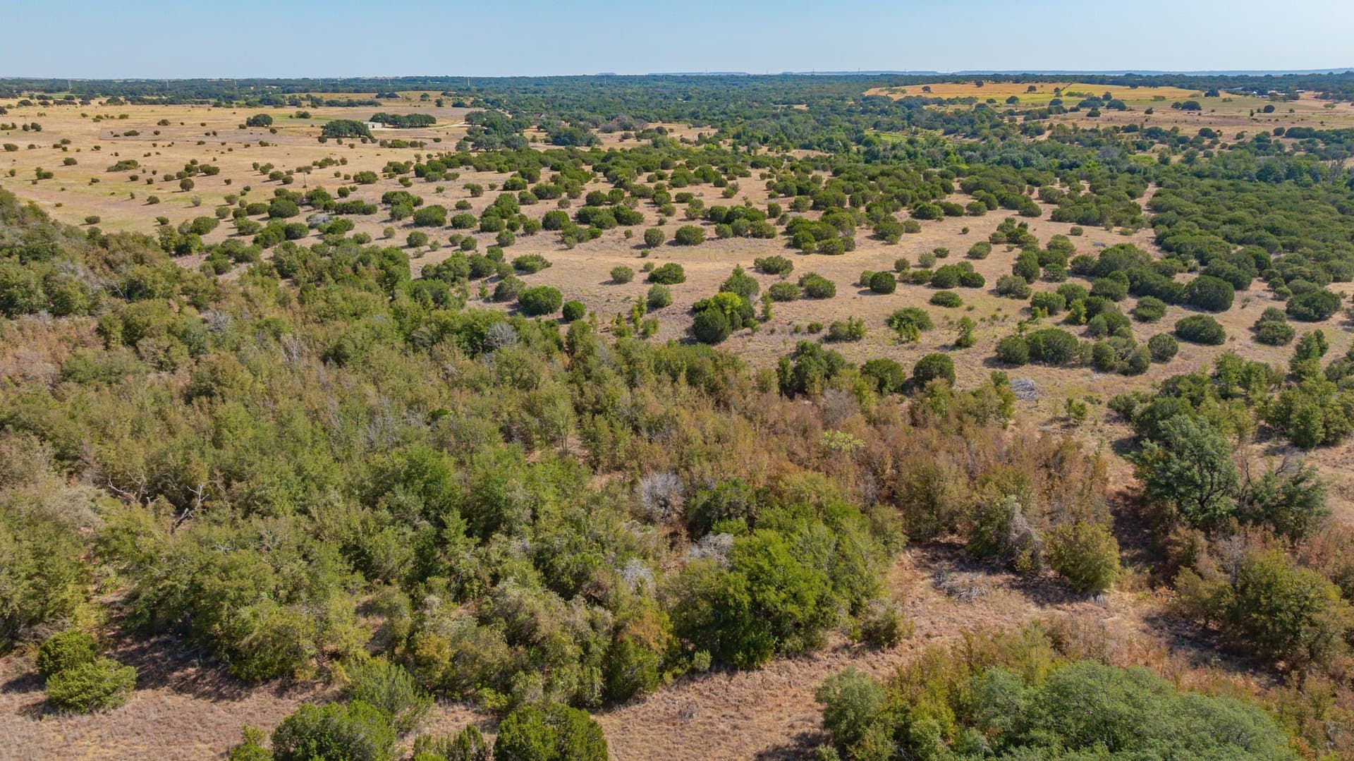 55.5 acres in Erath County - photo 3