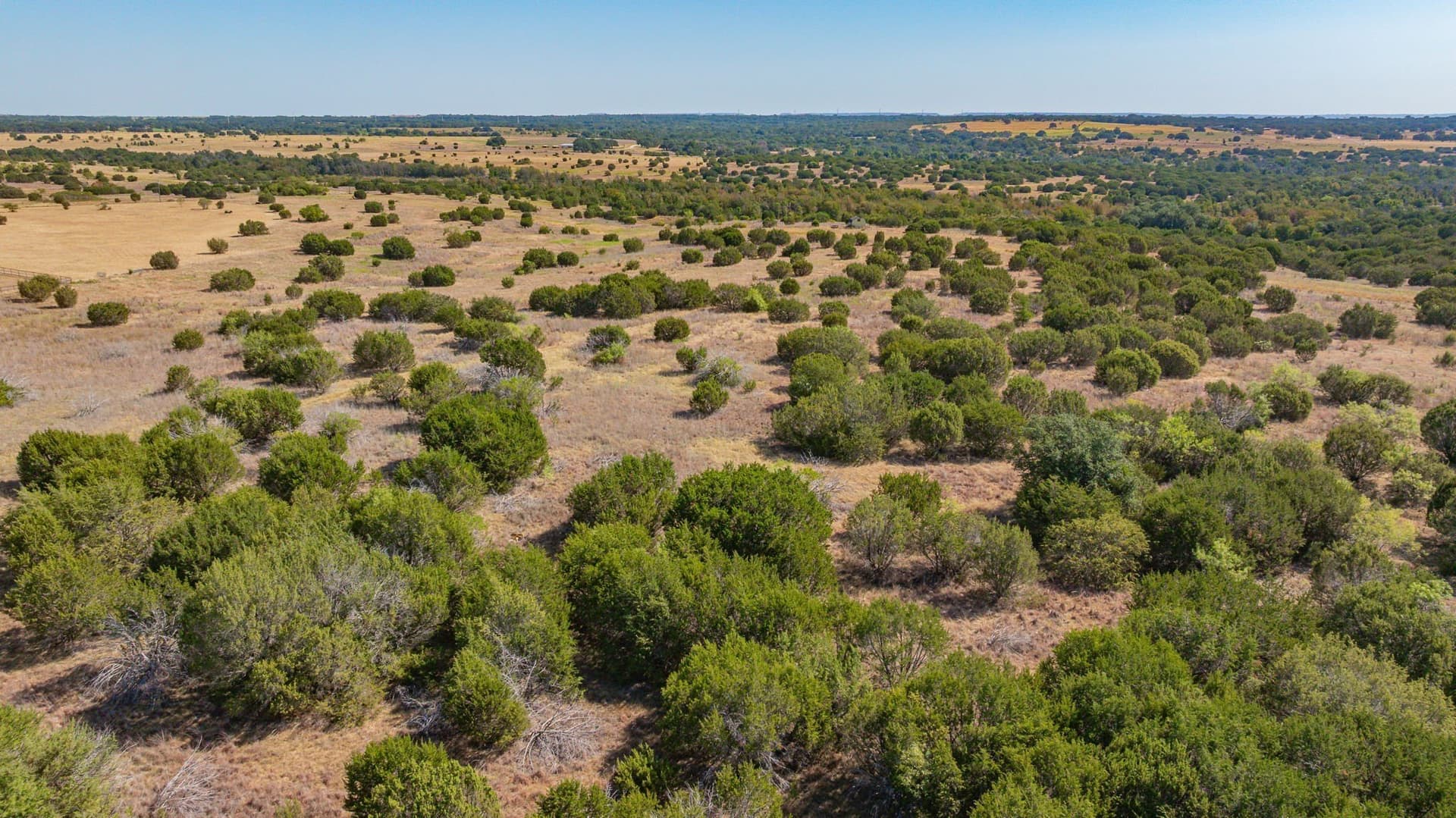 55.5 acres in Erath County - photo 16