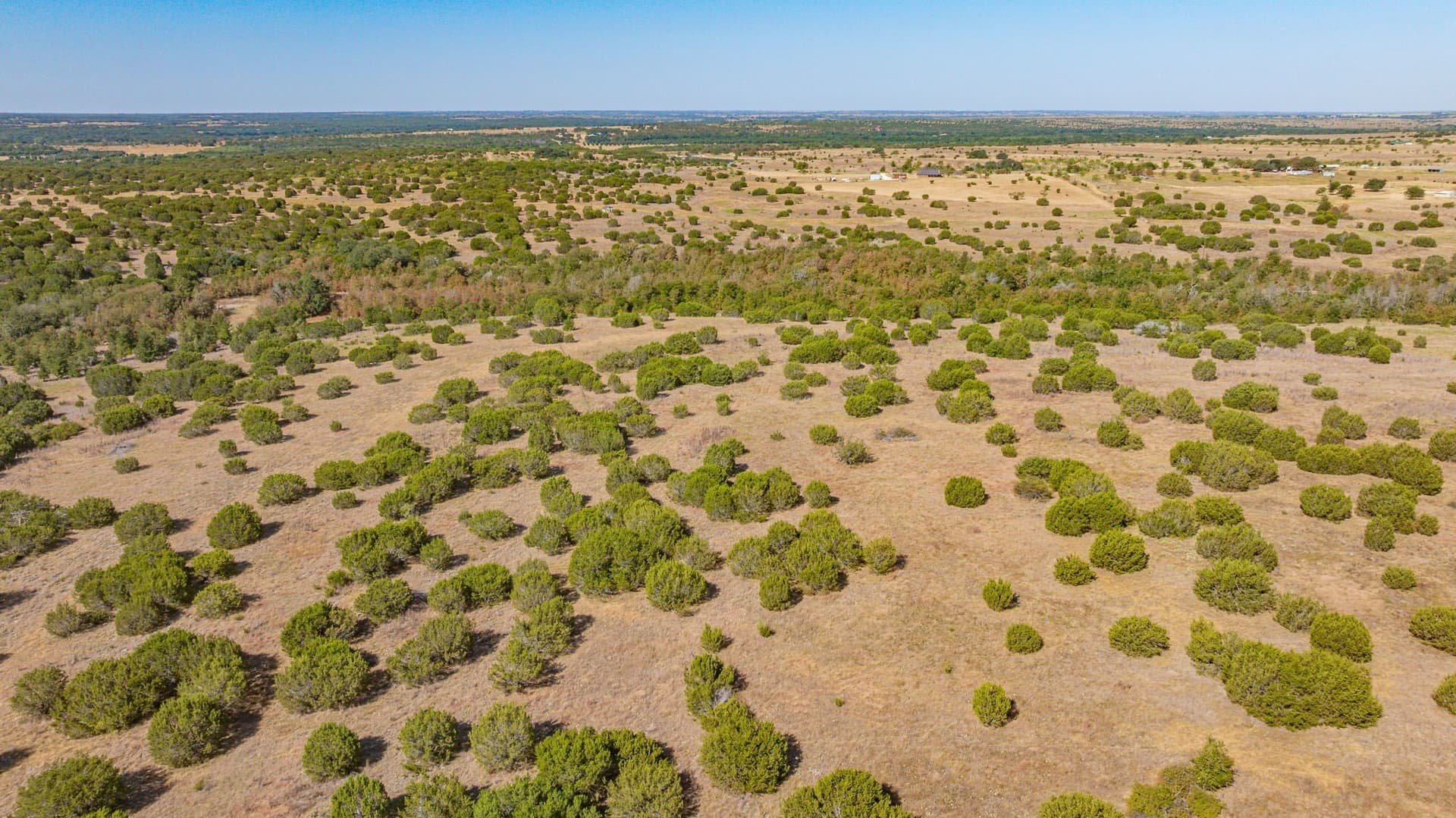 55.5 acres in Erath County - photo 21
