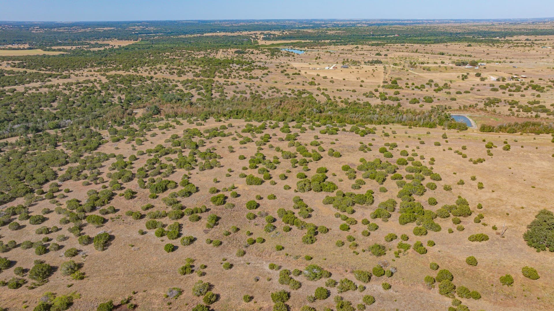 55.5 acres in Erath County - photo 17