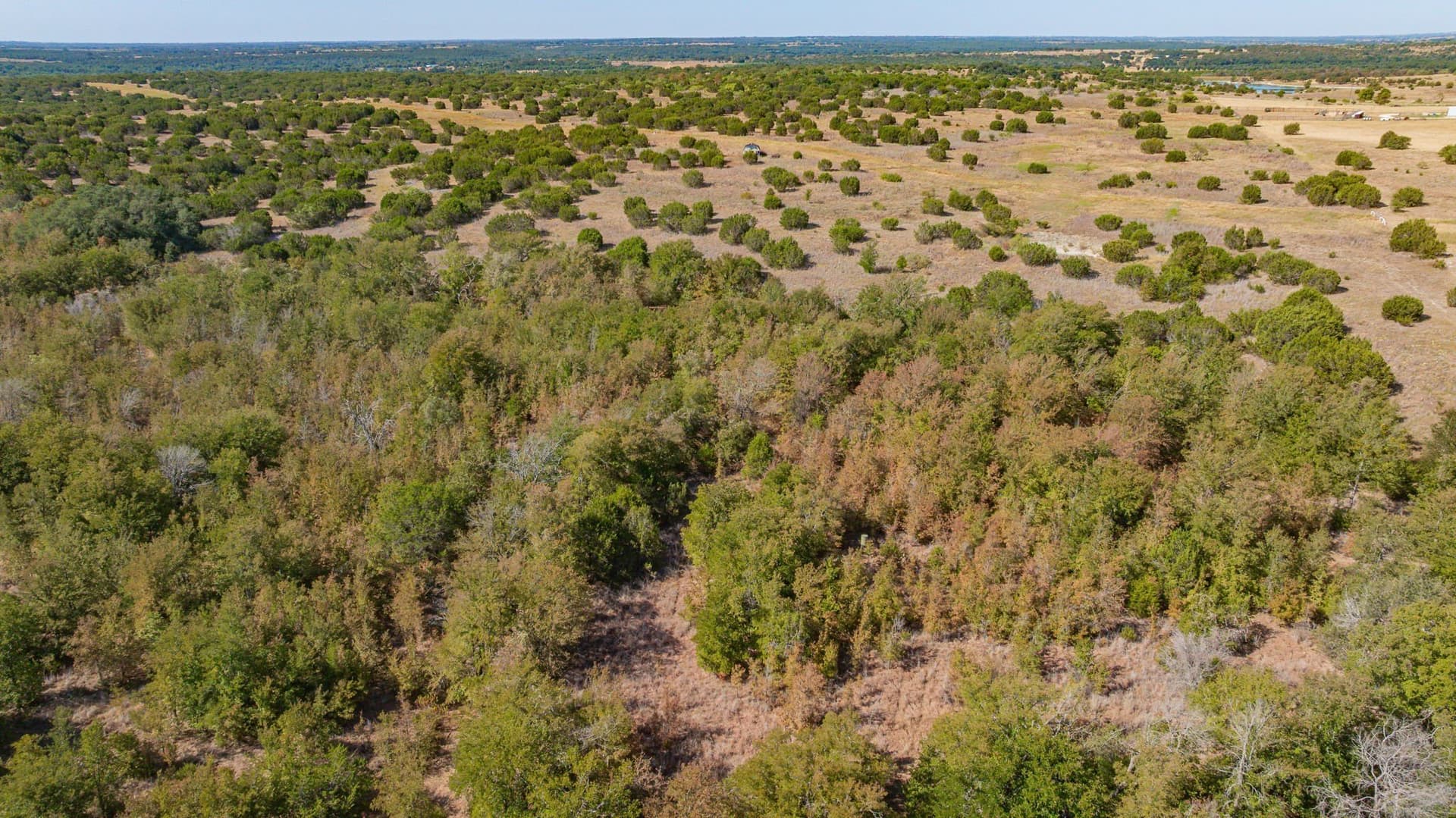 55.5 acres in Erath County - photo 29