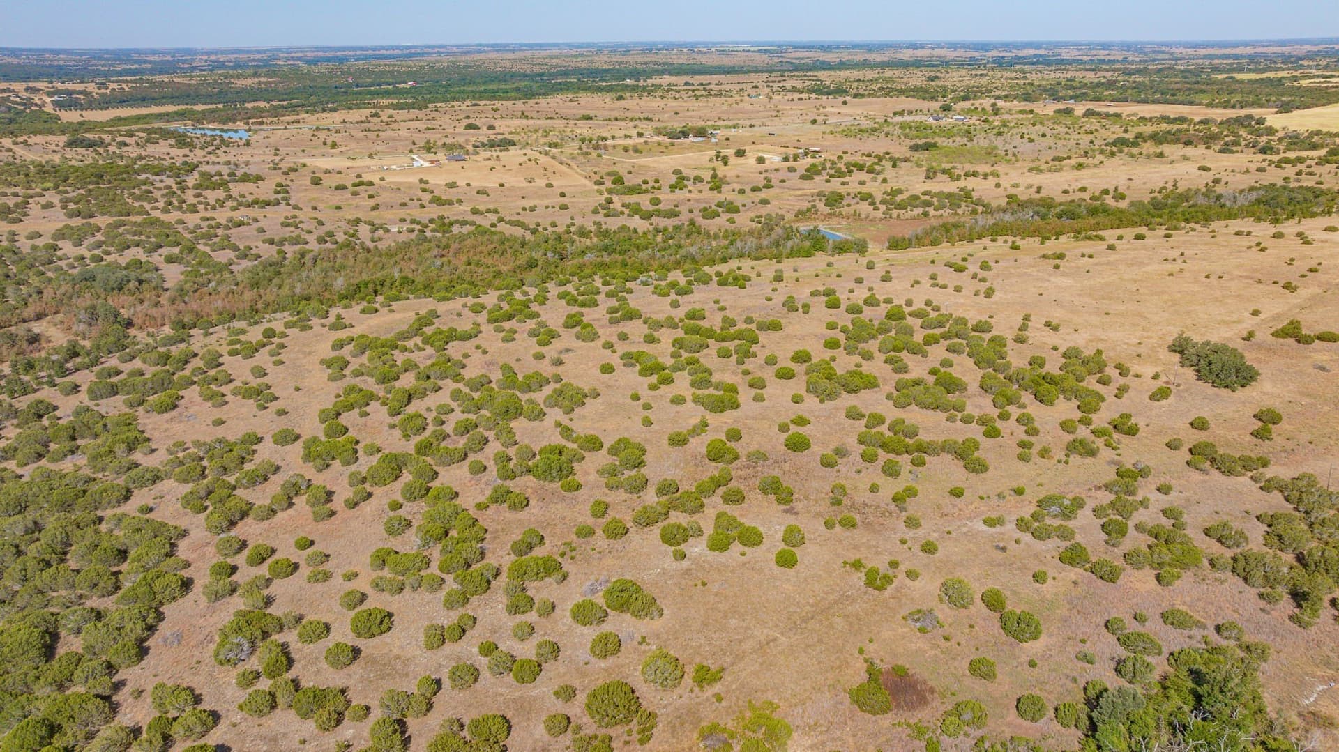 55.5 acres in Erath County - photo 19