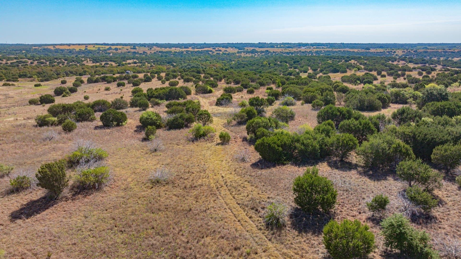 55.5 acres in Erath County - photo 6