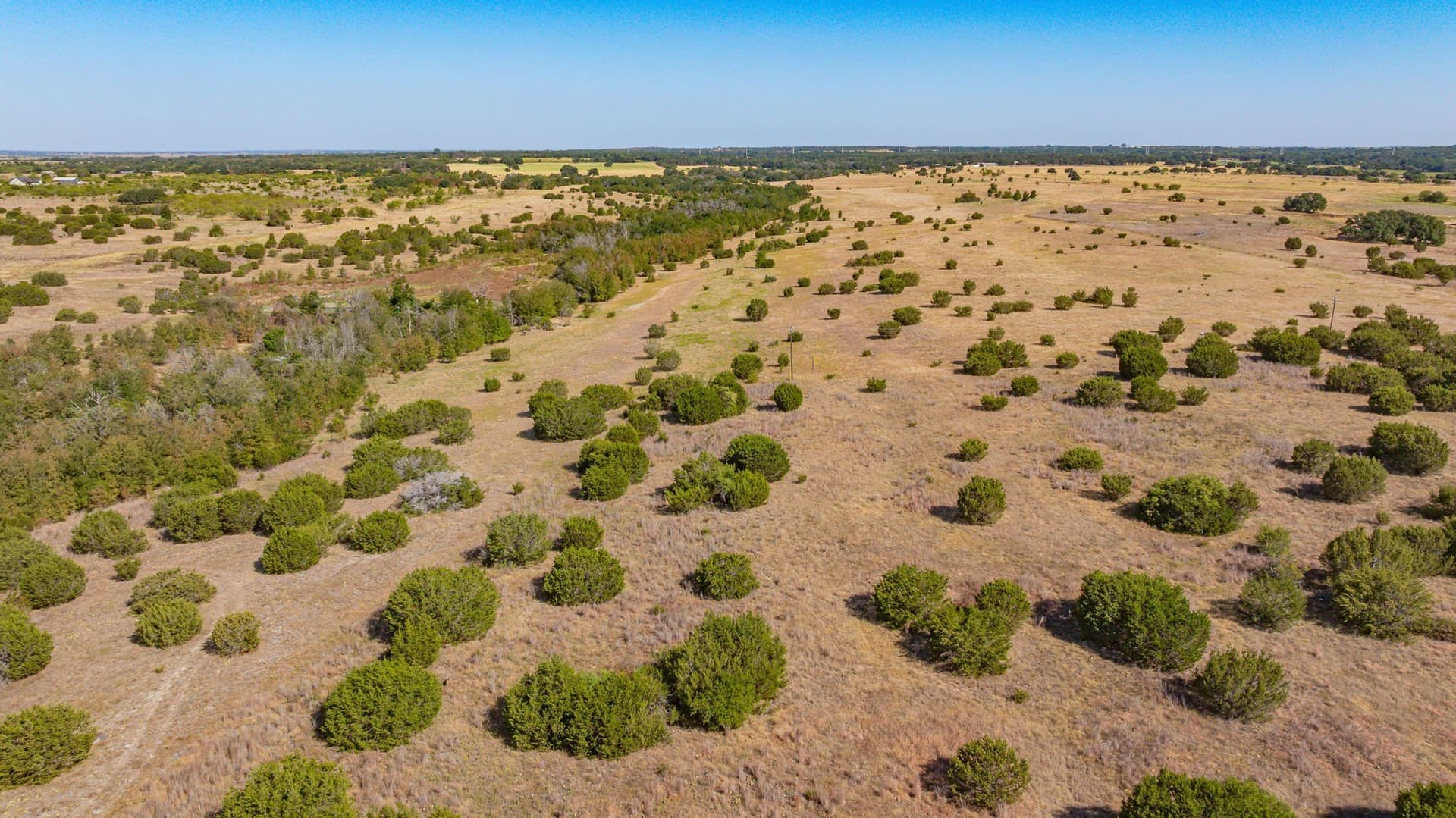 55.5 acres in Erath County - photo 27