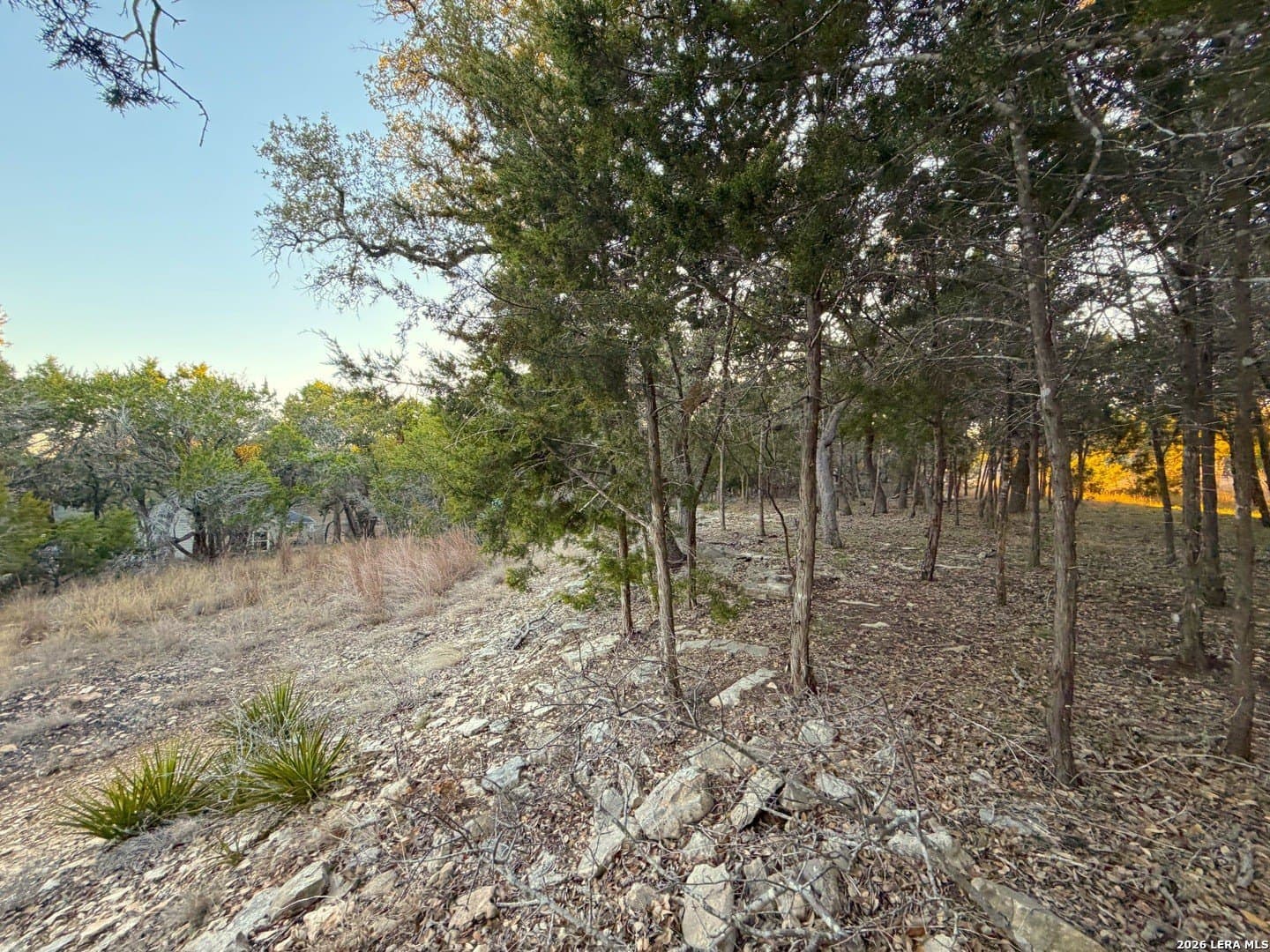 0.5 acres in Comal County gallery image 4