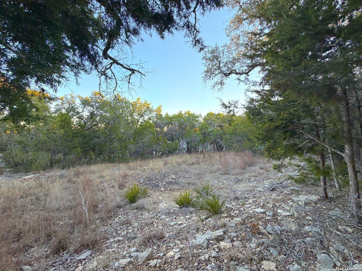 0.5 acres in Comal County gallery image 2