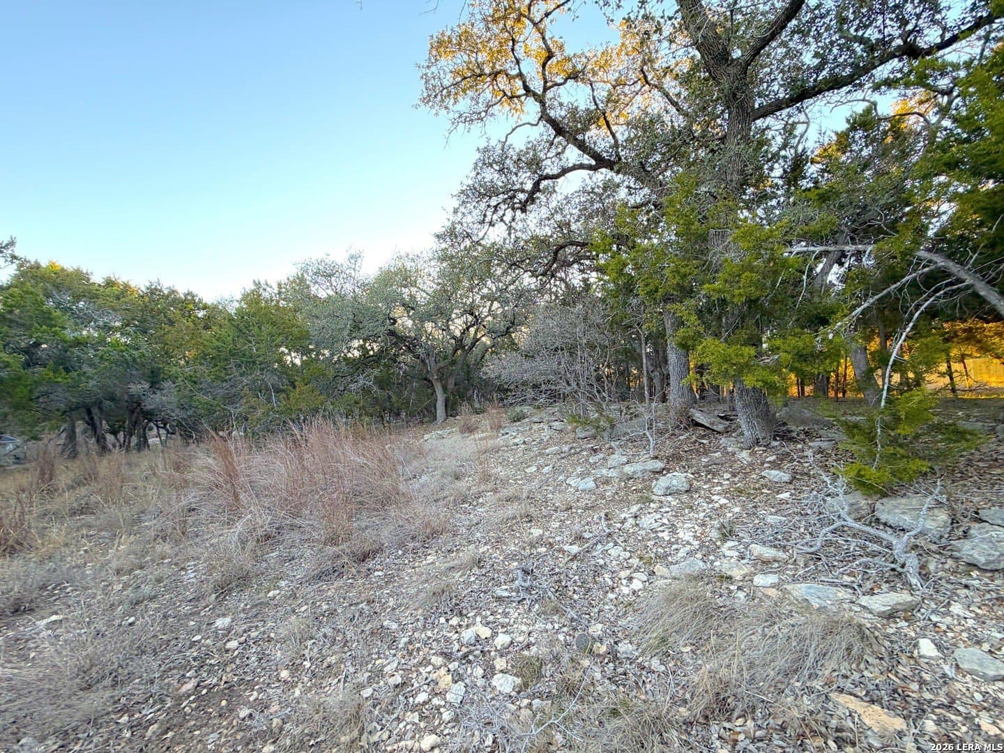 0.5 acres in Comal County - photo 7