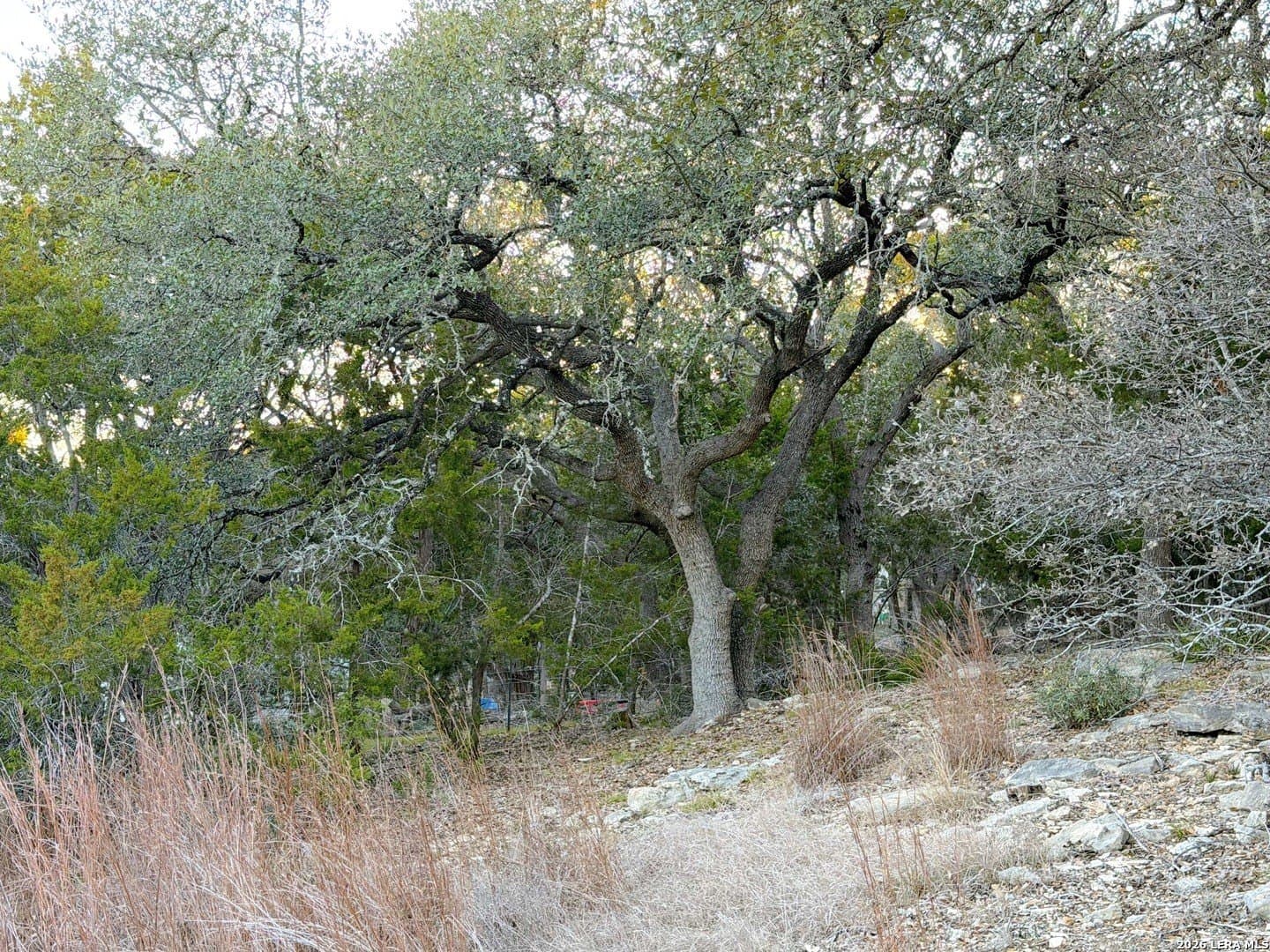 0.5 acres in Comal County - photo 10