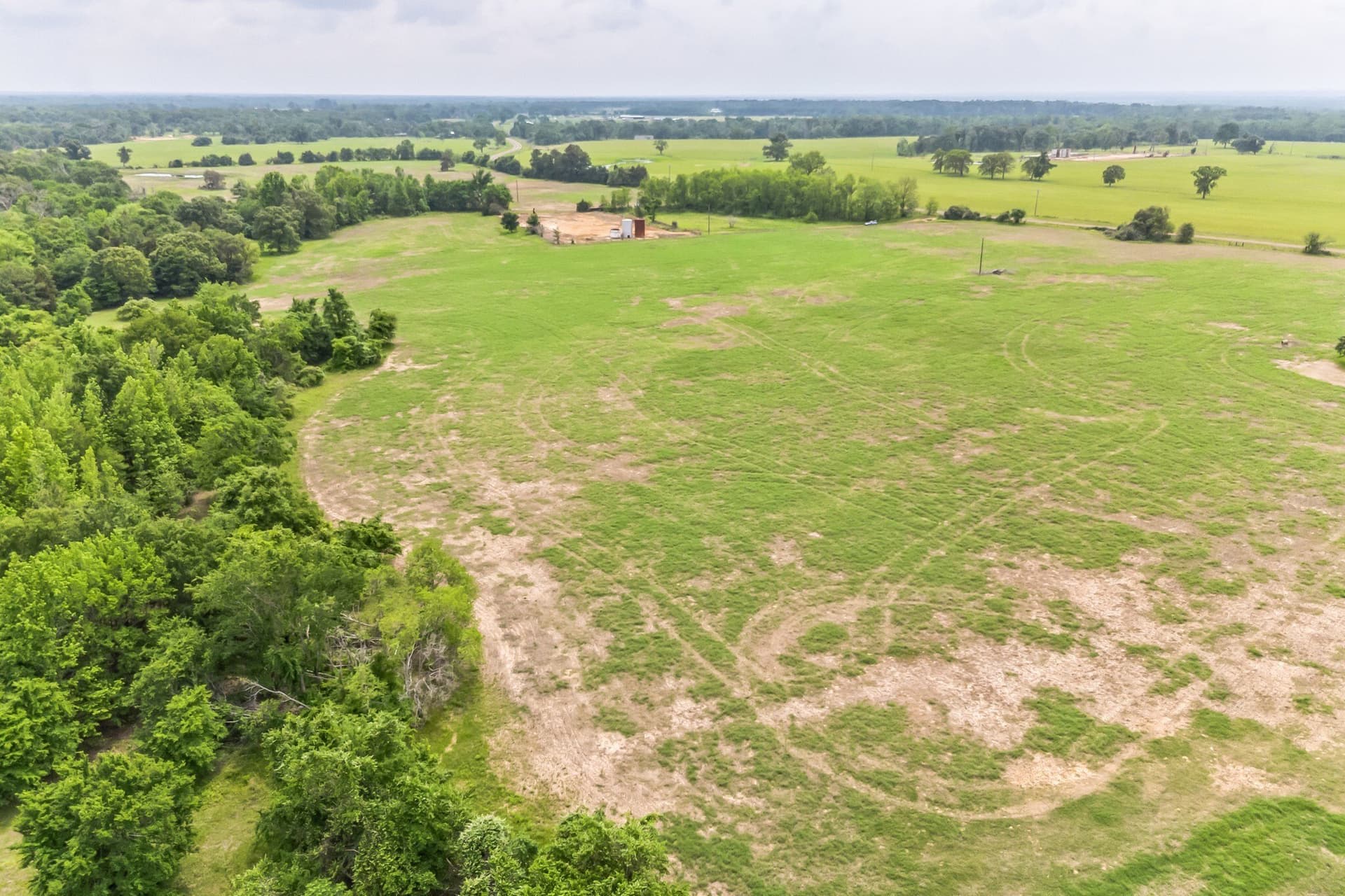 70 acres in Anderson County gallery image 4