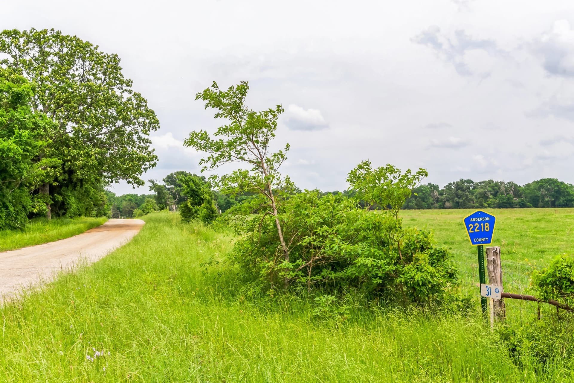 70 acres in Anderson County featured view