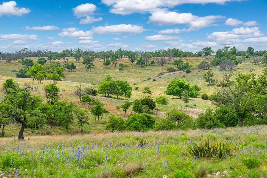 3.97 acres in Gillespie County gallery image 4