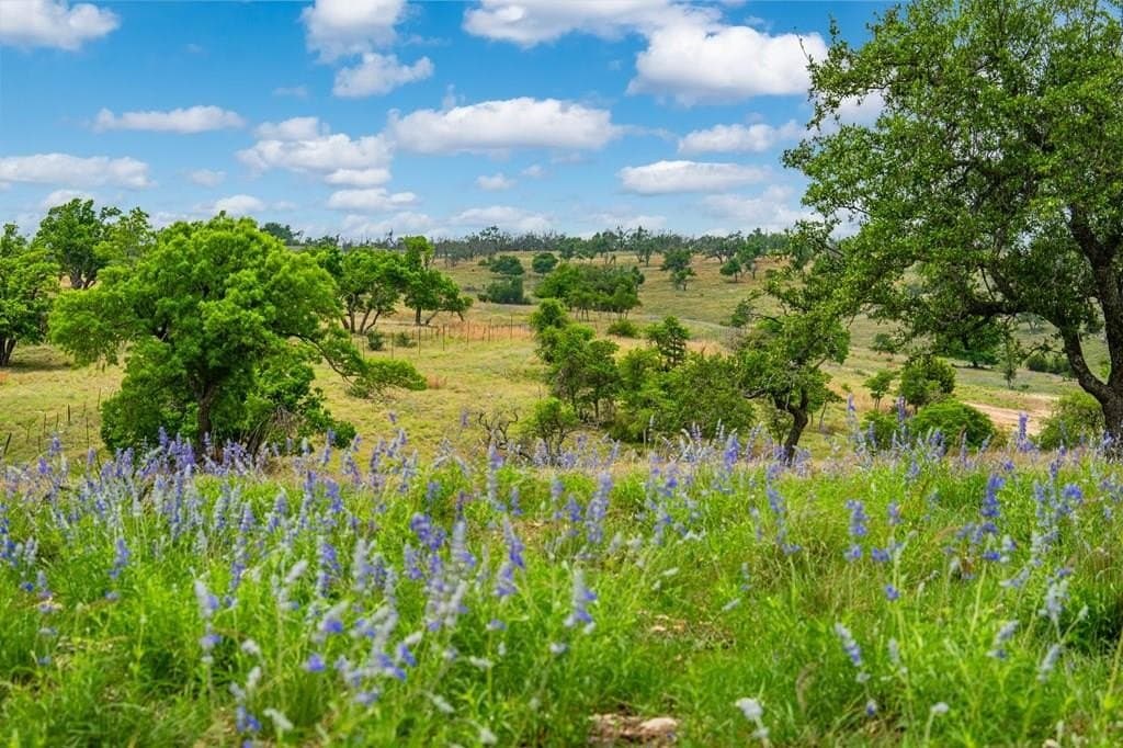 3.97 acres in Gillespie County