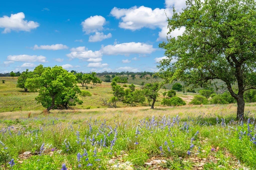 3.97 acres in Gillespie County featured view