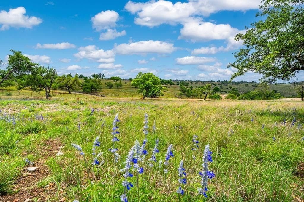 3.97 acres in Gillespie County gallery image 2