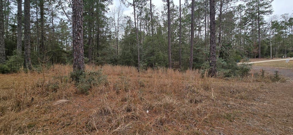 0.47 acres in Texas County featured view