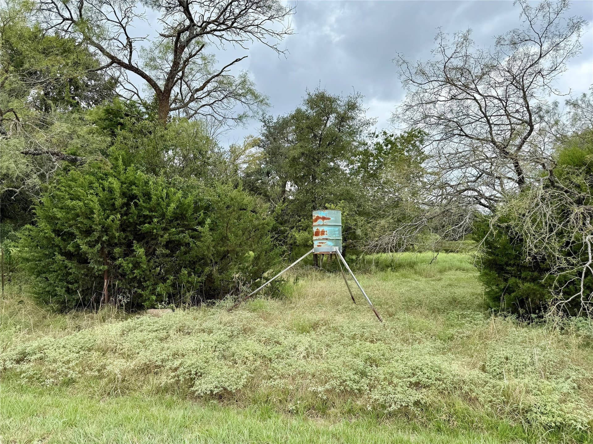 10.01 acres in Hamilton County - photo 17