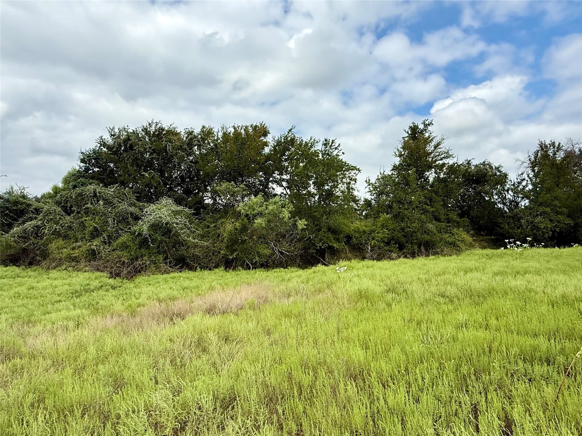 10.01 acres in Hamilton County - photo 12