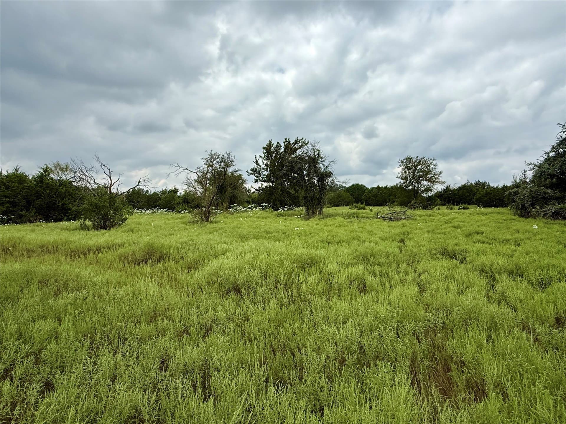 10.01 acres in Hamilton County - photo 13