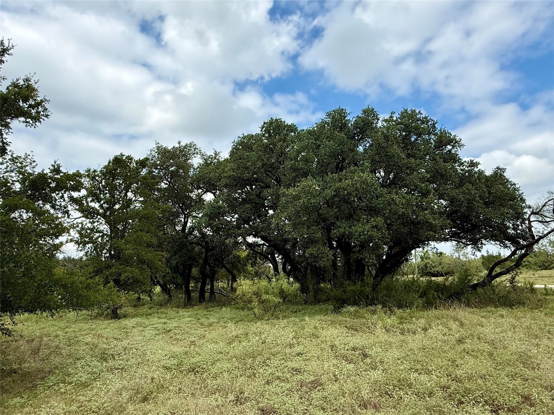 10.01 acres in Hamilton County - photo 11